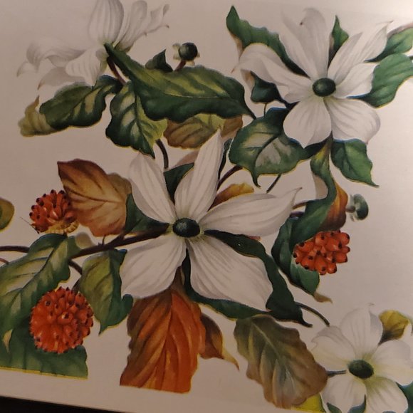 Greeting Cards - Unused (11) Austin Marshall - Picture 4 of 6